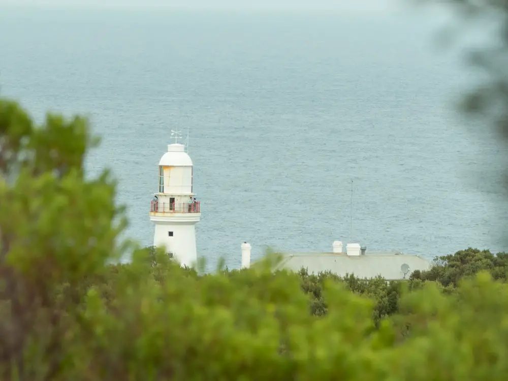 Cape Otway Lighthouse view Great Ocean Road. Lighthouse seen through trees