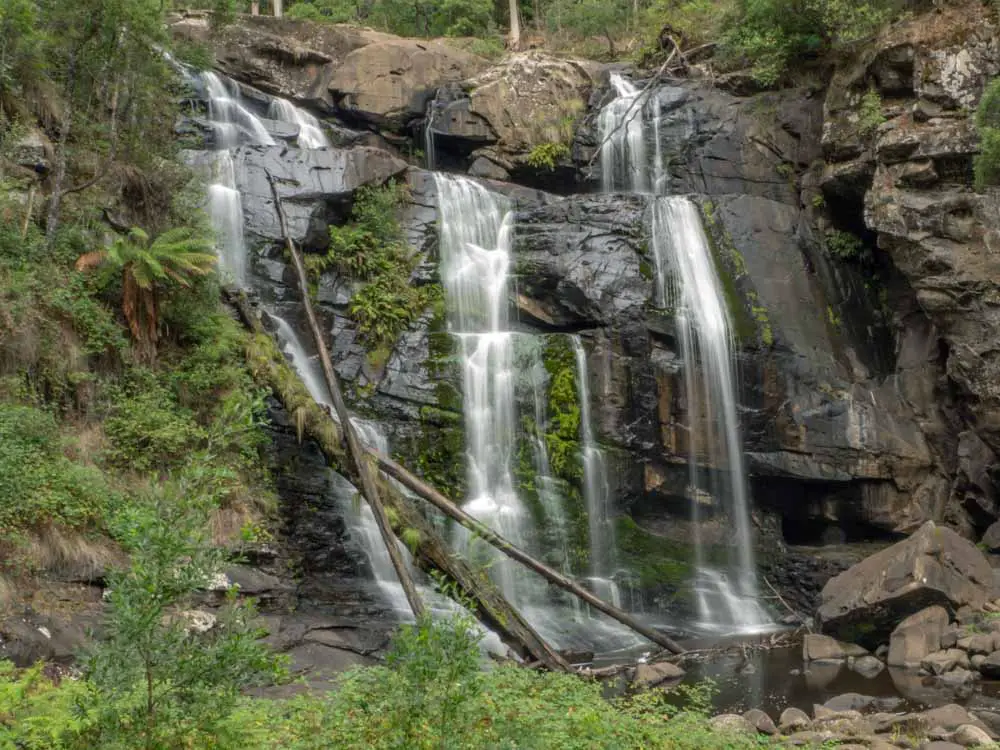 Stevenson Falls Victoria Australia. Waterfall with rocks and trees