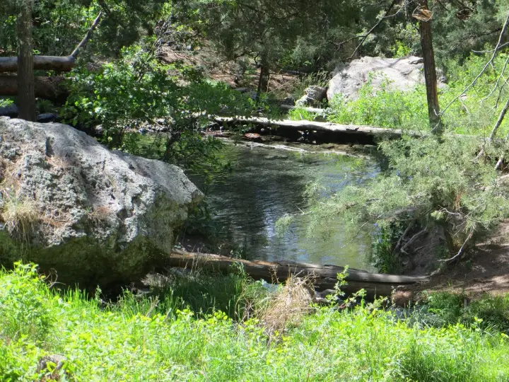 McCauley Hot Springs New Mexico