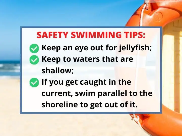 Take Precautions While Swimming