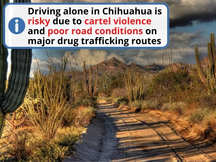 Is it Safe to Drive in Chihuahua Mexico