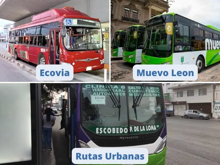 Safety in Buses in Monterrey