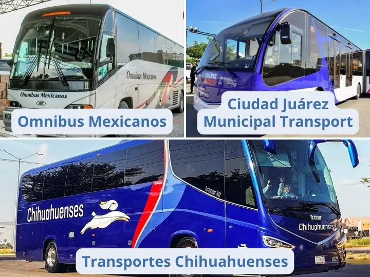 Safety in Buses in Ciudad Juarez